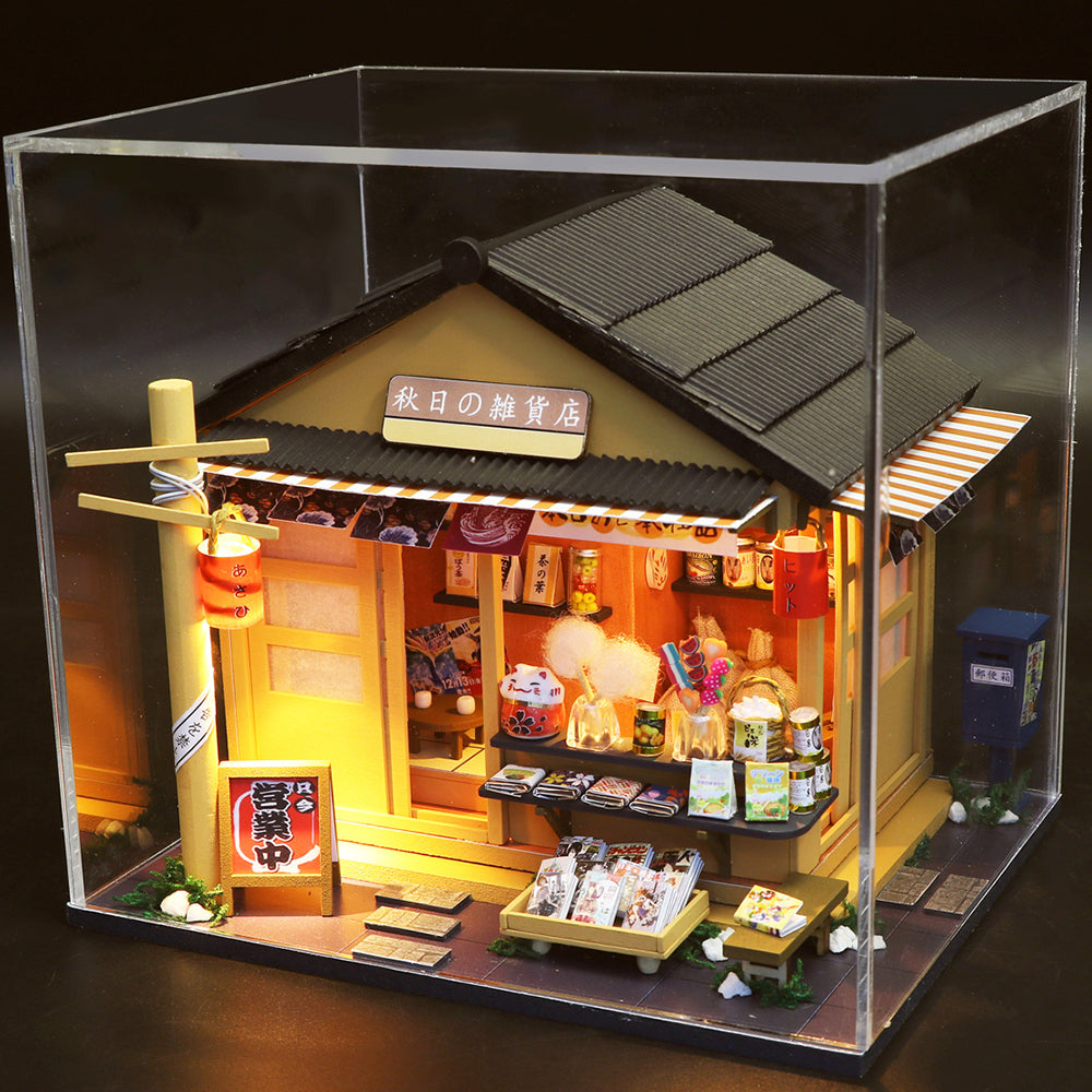 PUUZZLE 1: 24 DIY Dollhouse Kit (Gocery store)