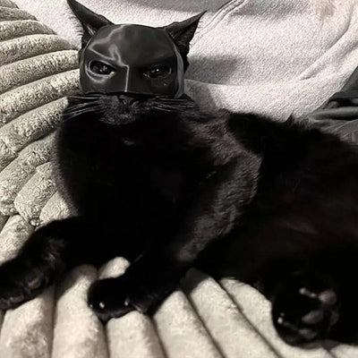 PUUZZLE™ | Scary Halloween Cat Mask