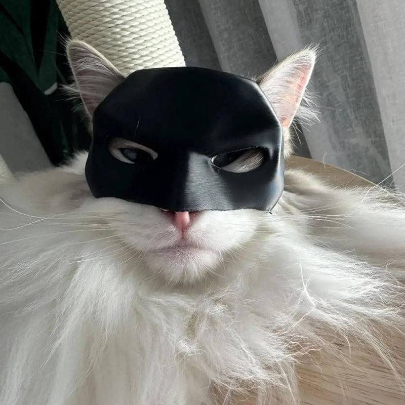PUUZZLE™ | Scary Halloween Cat Mask