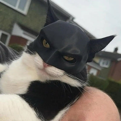 PUUZZLE™ | Scary Halloween Cat Mask